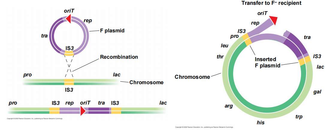 image-20250427113828520