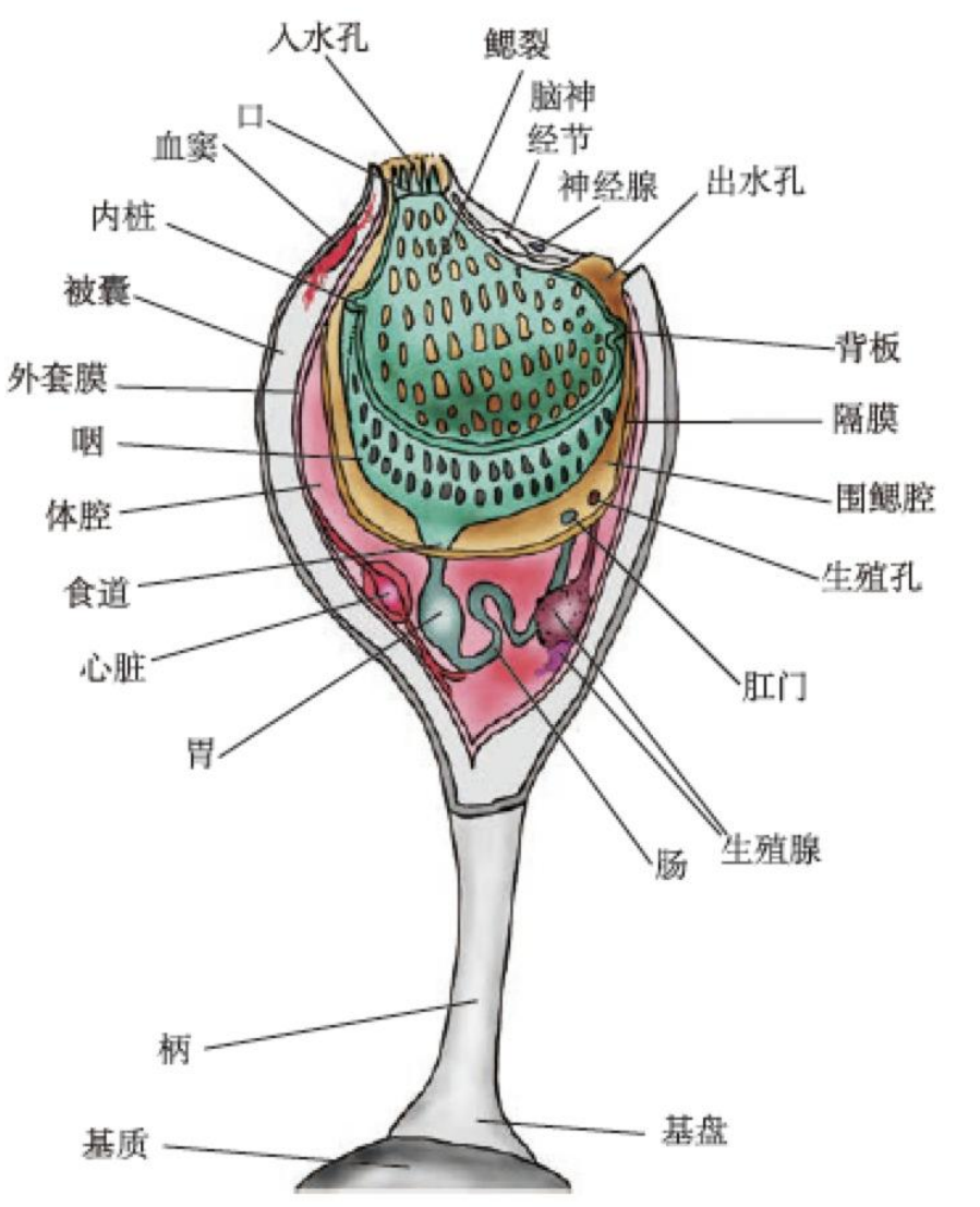 image-20250618175652713