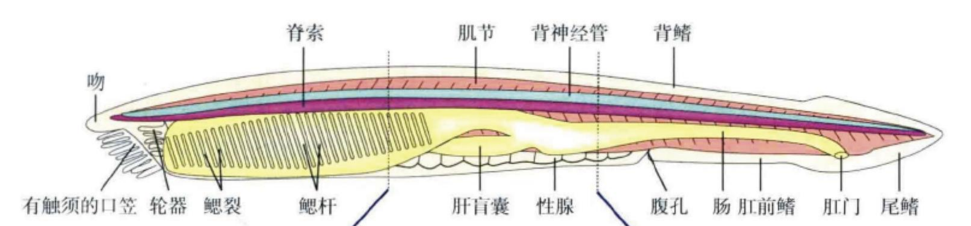 image-20250618180709326