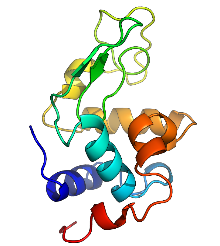 Computational Biology